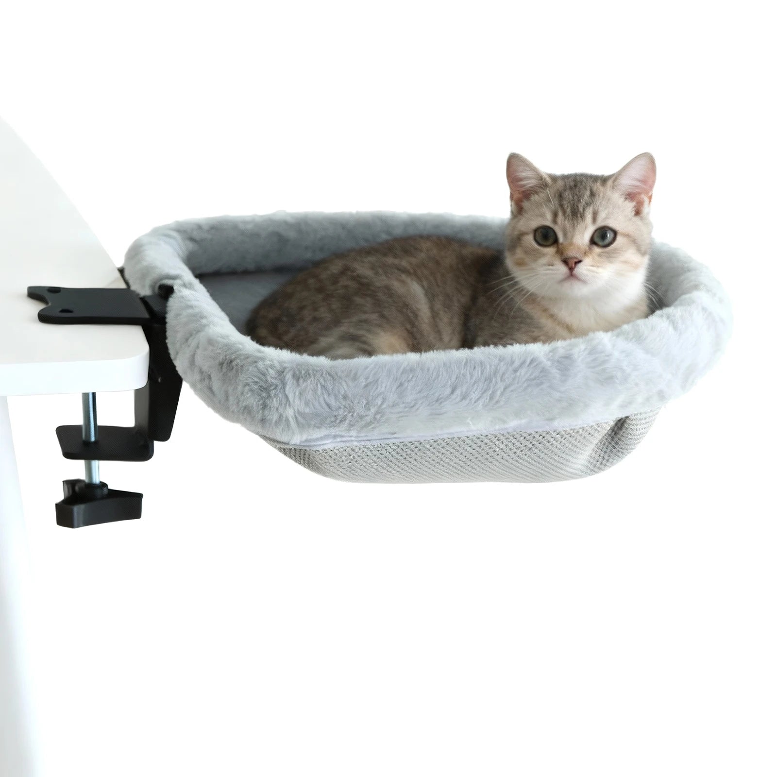 Cloud Comfort Hammock