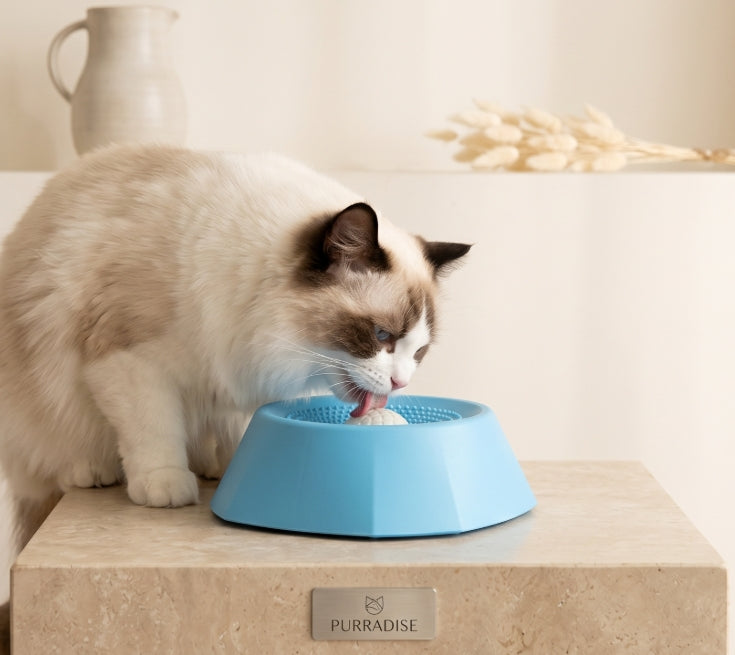 Pet Licking Mat for Teeth Care, Slow Feeder Pad for Dogs & Cats, Slow Feeder Bowl