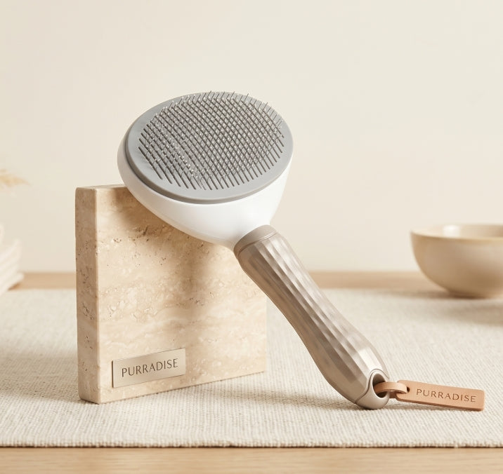 Self-Cleaning Grooming Brush
