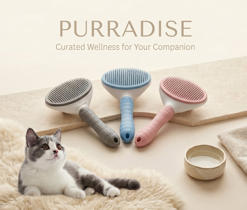 Self-Cleaning Grooming Brush
