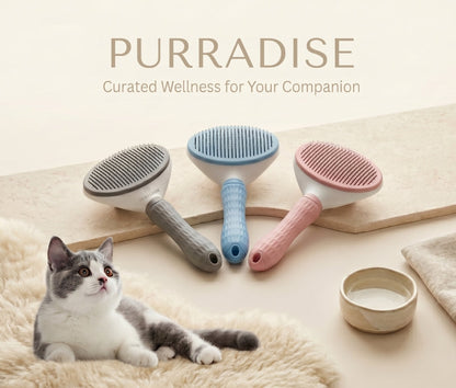 Self-Cleaning Grooming Brush