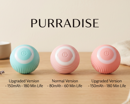 PurrRoll™ Interactive Motion Ball for Cats