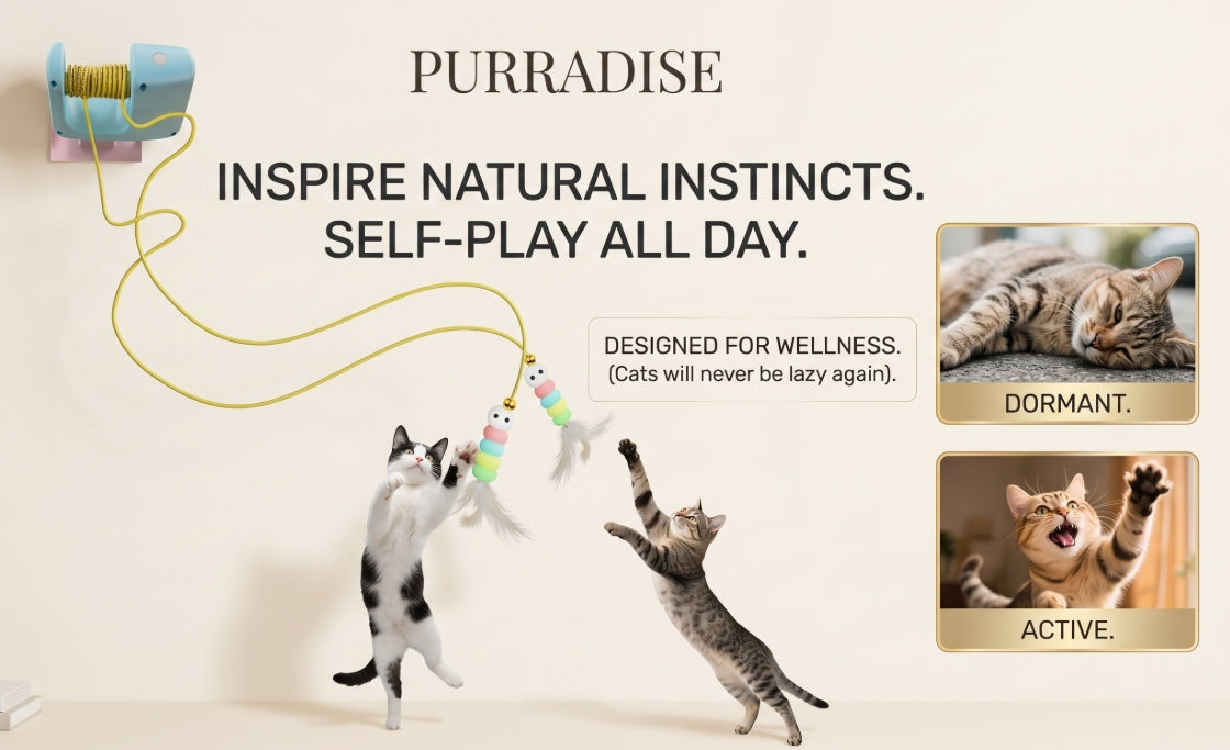 Interactive Hanging Cat Toy – Flying Feather Teaser