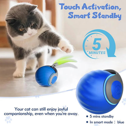 Smart Rolling Ball Toy