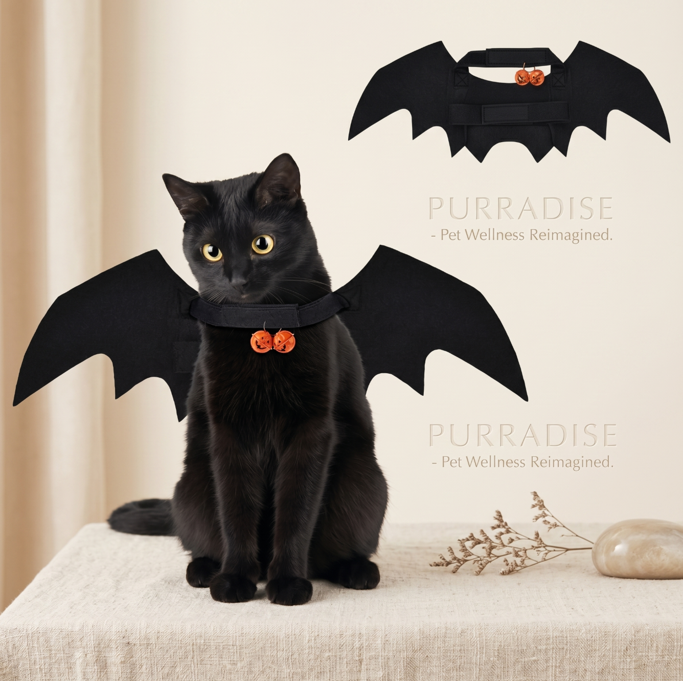 BatCat™ Halloween Wings for Cats